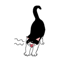 Animated Hachi and Coro with a newcomer sticker #11895224