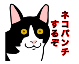 Animated Hachi and Coro with a newcomer sticker #11895228