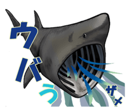 35 kind of Sharks JOKE stickers ! sticker #11895790
