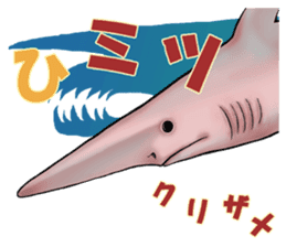 35 kind of Sharks JOKE stickers ! sticker #11895792