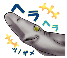 35 kind of Sharks JOKE stickers ! sticker #11895794
