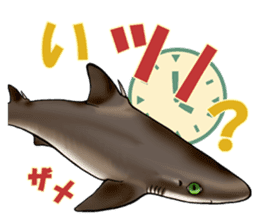 35 kind of Sharks JOKE stickers ! sticker #11895795