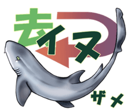 35 kind of Sharks JOKE stickers ! sticker #11895797