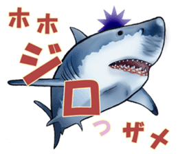 35 kind of Sharks JOKE stickers ! sticker #11895798