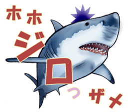 35 kind of Sharks JOKE stickers ! sticker #11895798