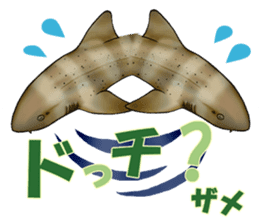 35 kind of Sharks JOKE stickers ! sticker #11895799