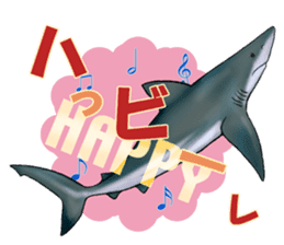35 kind of Sharks JOKE stickers ! sticker #11895800