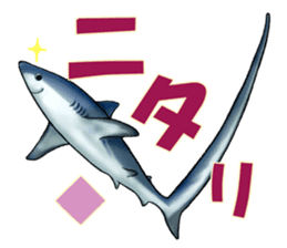 35 kind of Sharks JOKE stickers ! sticker #11895803