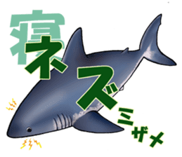 35 kind of Sharks JOKE stickers ! sticker #11895804