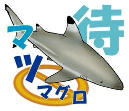 35 kind of Sharks JOKE stickers ! sticker #11895806