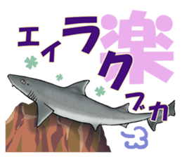 35 kind of Sharks JOKE stickers ! sticker #11895807