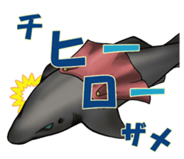 35 kind of Sharks JOKE stickers ! sticker #11895809