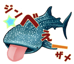 35 kind of Sharks JOKE stickers ! sticker #11895812