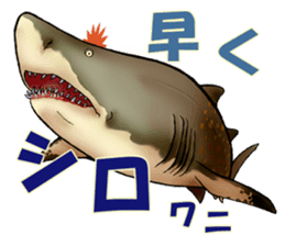 35 kind of Sharks JOKE stickers ! sticker #11895813