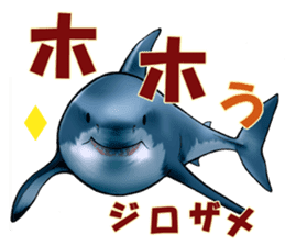 35 kind of Sharks JOKE stickers ! sticker #11895814