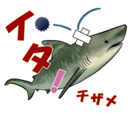 35 kind of Sharks JOKE stickers ! sticker #11895815