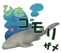 35 kind of Sharks JOKE stickers ! sticker #11895816