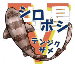 35 kind of Sharks JOKE stickers ! sticker #11895817