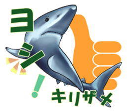 35 kind of Sharks JOKE stickers ! sticker #11895820