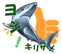 35 kind of Sharks JOKE stickers ! sticker #11895820