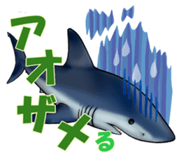 35 kind of Sharks JOKE stickers ! sticker #11895821