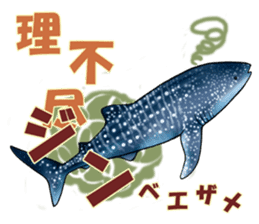 35 kind of Sharks JOKE stickers ! sticker #11895827