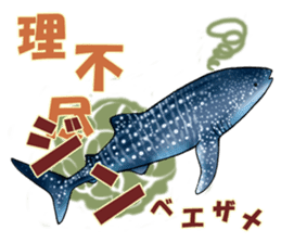 35 kind of Sharks JOKE stickers ! sticker #11895827