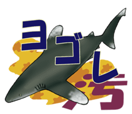 35 kind of Sharks JOKE stickers ! sticker #11895828