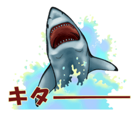 35 kind of Sharks JOKE stickers ! sticker #11895829