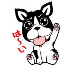 THE FRENCH BULLDOG sticker #11895998