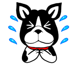 THE FRENCH BULLDOG sticker #11896000
