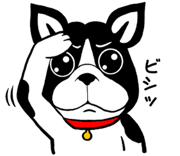 THE FRENCH BULLDOG sticker #11896004