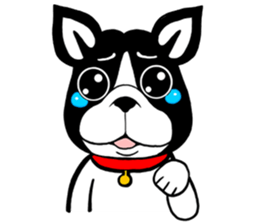 THE FRENCH BULLDOG sticker #11896010
