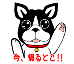 THE FRENCH BULLDOG sticker #11896019