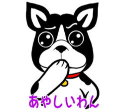 THE FRENCH BULLDOG sticker #11896028