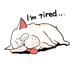 BUHI DOG 2(English ver.) sticker #11897498