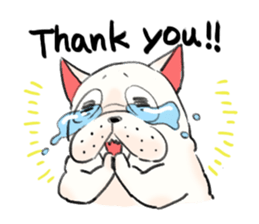 BUHI DOG 2(English ver.) sticker #11897501