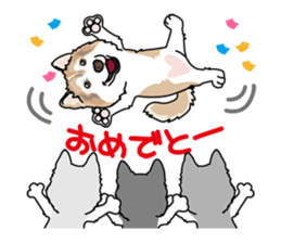 siberian husky @ SURFBORDER sticker #11898647