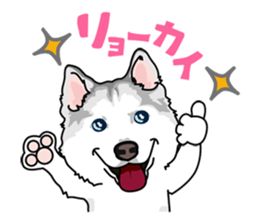 siberian husky @ SURFBORDER sticker #11898648
