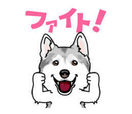 siberian husky @ SURFBORDER sticker #11898649