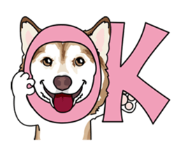 siberian husky @ SURFBORDER sticker #11898650