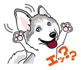 siberian husky @ SURFBORDER sticker #11898652