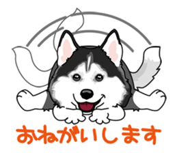 siberian husky @ SURFBORDER sticker #11898655