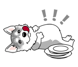 siberian husky @ SURFBORDER sticker #11898657