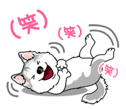 siberian husky @ SURFBORDER sticker #11898660