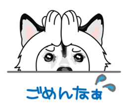 siberian husky @ SURFBORDER sticker #11898661