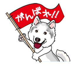 siberian husky @ SURFBORDER sticker #11898663