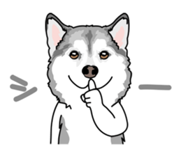 siberian husky @ SURFBORDER sticker #11898664