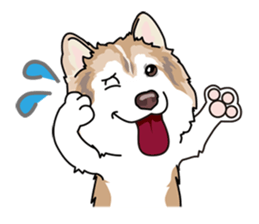 siberian husky @ SURFBORDER sticker #11898665