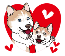 siberian husky @ SURFBORDER sticker #11898670